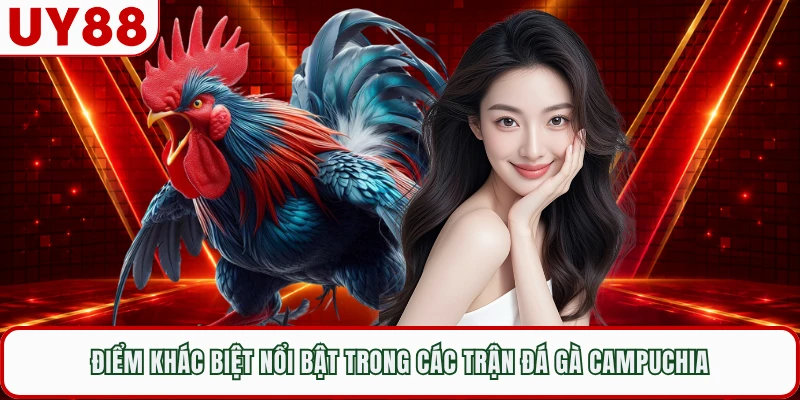 Điểm khác biệt nổi bật trong các trận đá gà Campuchia